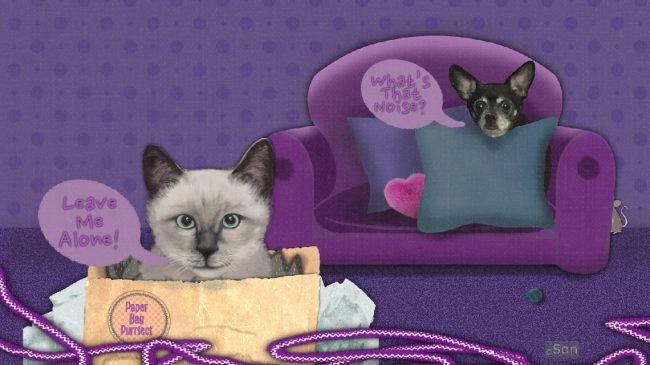 Dogs and Cats Personalities Differ Dogs and Cats Personalities Differ