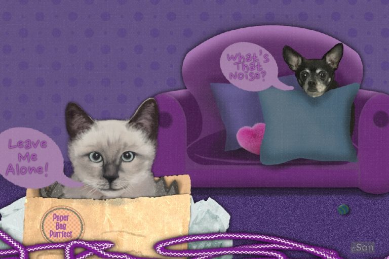 Dogs and Cats Personalities Differ