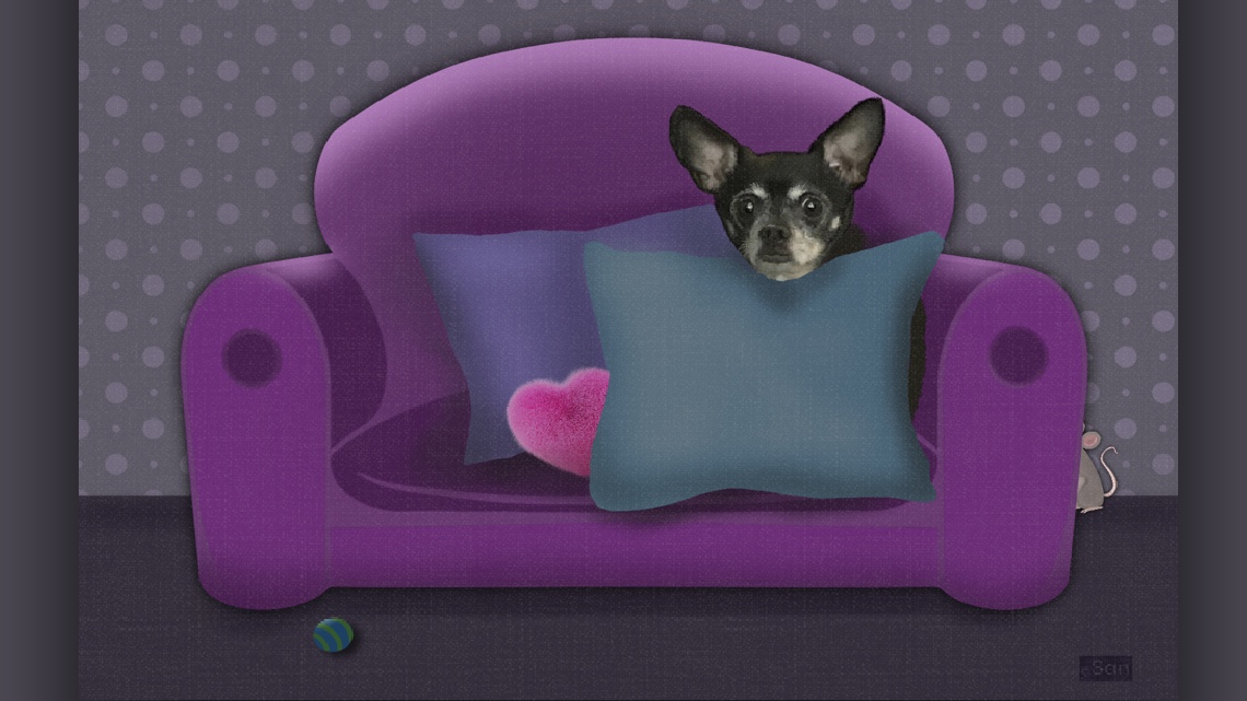 Bob the Barker Chihuahua Dog Story